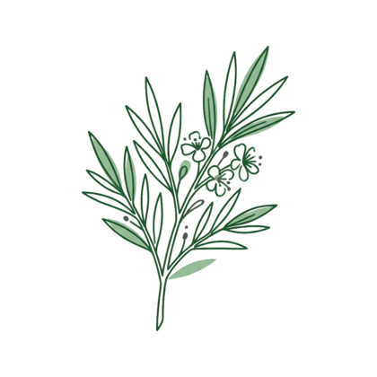 Plant-based actives