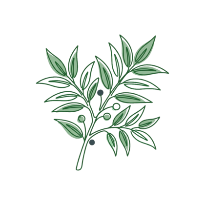 Neem Seed Oil